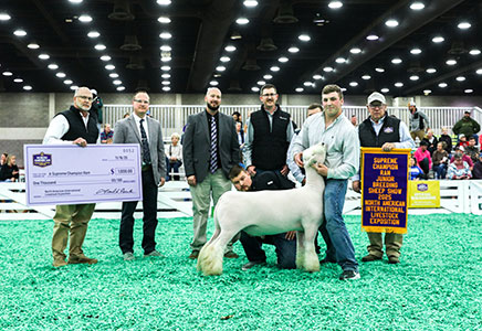 Law Dog
Supreme Champion Ram
2025 NAILE Junior Show